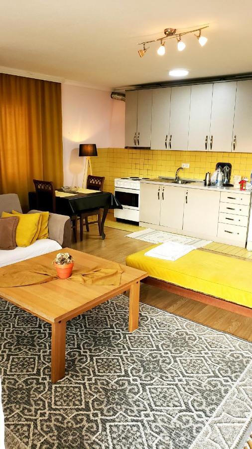 Spacious Downtown Apartment With A City View พริสตีนา ภายนอก รูปภาพ