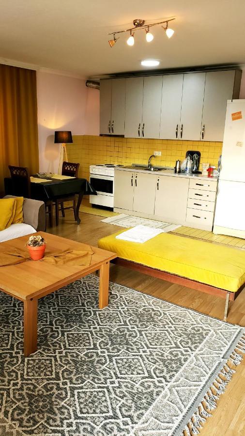 Spacious Downtown Apartment With A City View พริสตีนา ภายนอก รูปภาพ