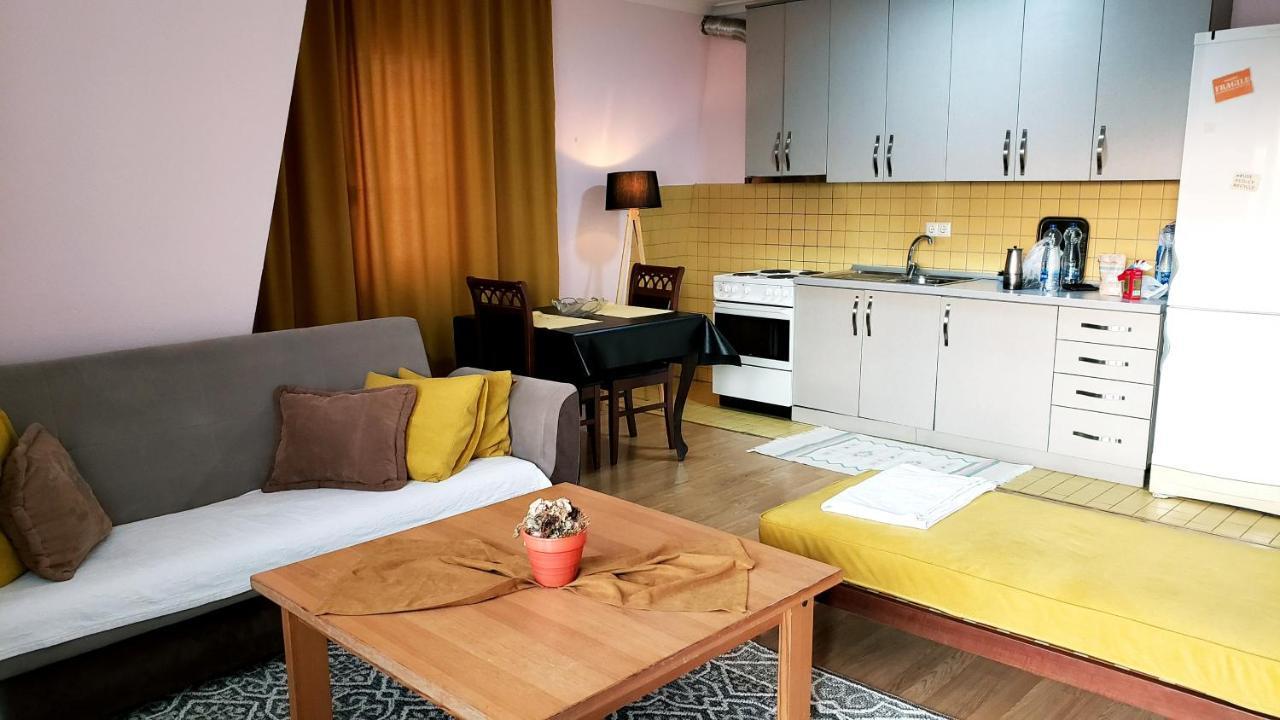 Spacious Downtown Apartment With A City View พริสตีนา ภายนอก รูปภาพ